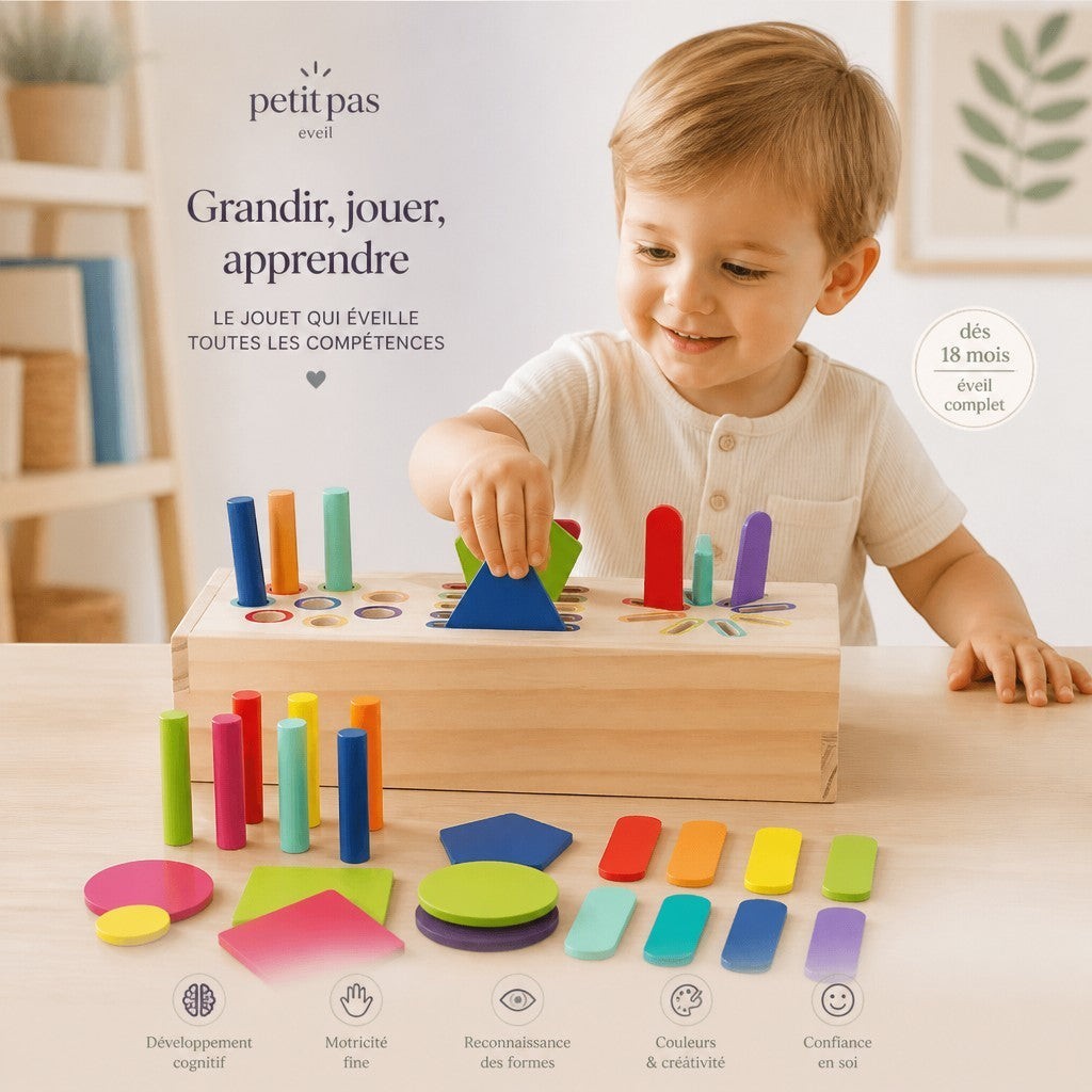 PetitPas Éveil "Jouet Montessori en bois: Jeu Éducatif De Tri Et D'Encastrement En Bois Jouets d'activité jeu-educatif-montessori-en-bois-pour-la-maternelle-formes-geometriques-3d-solides-jouet-de-tri-de-couleurs-developpement-et-entrainement